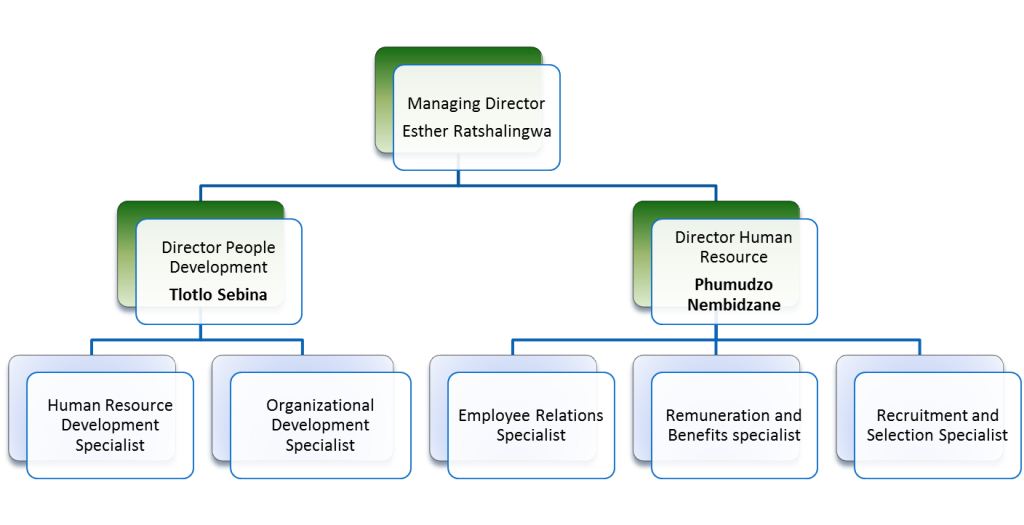 organogram